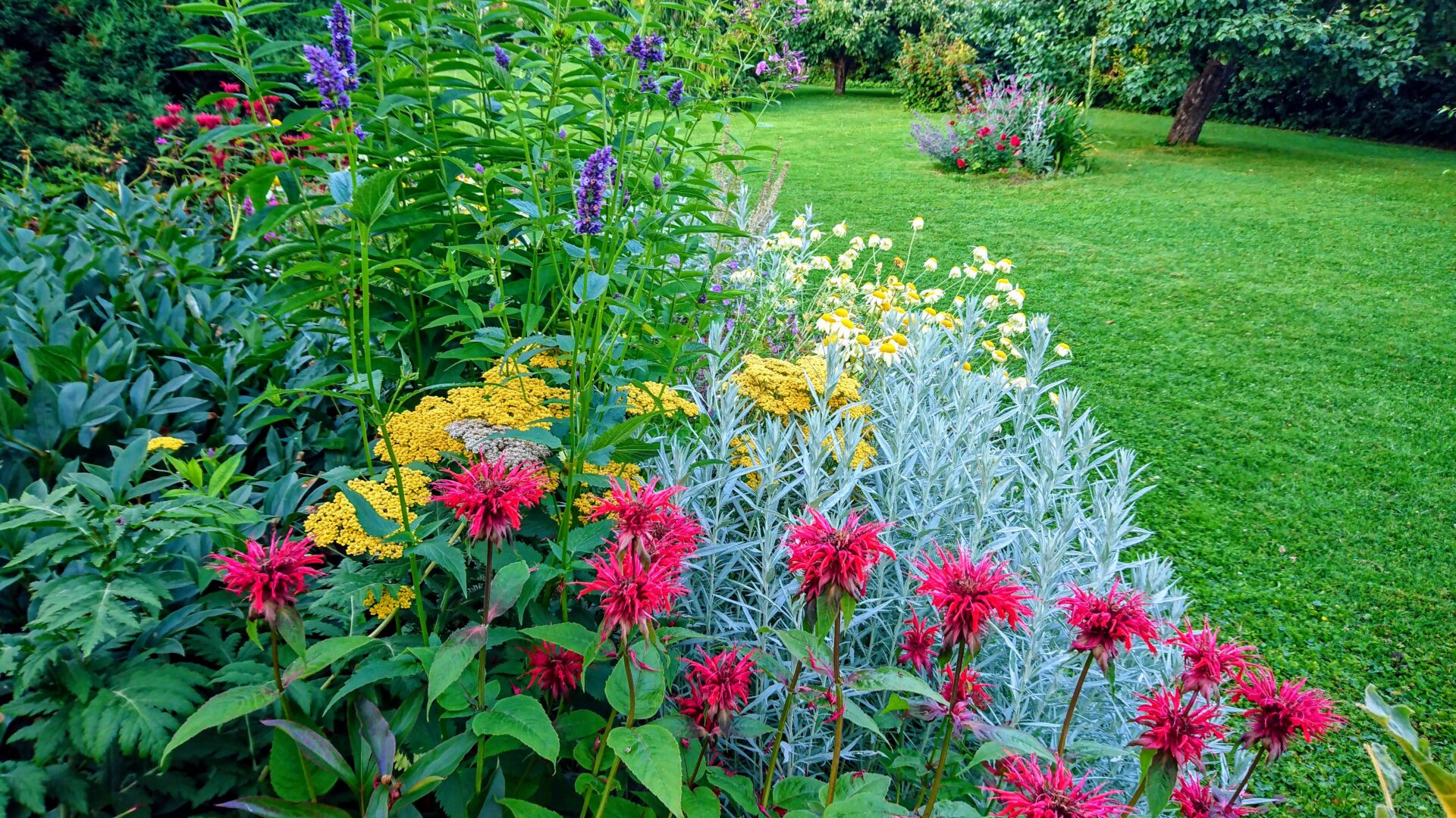 Püsililled/ Perennial flowers